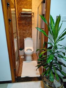 Lovely Studio Apartment on Dennis Pritt Kilimani