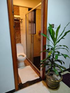 Lovely Studio Apartment on Dennis Pritt Kilimani