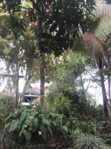 Wattarantanne homestay