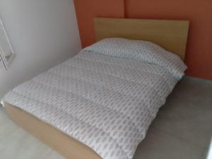 Le Baou fully renovated 2025