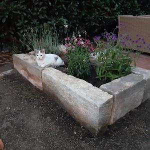 Ferienhaus Elsa mit Sauna und Whirlpool