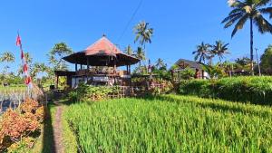 Rice Field inn - Lombok