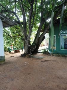 Green Villa Beach And Juice Bar