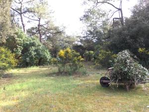 Grande maison face à locéan