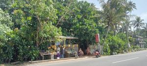 Green Villa Beach And Juice Bar