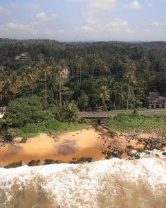 Green Villa Beach And Juice Bar