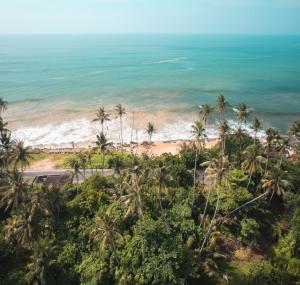 Green Villa Beach And Juice Bar