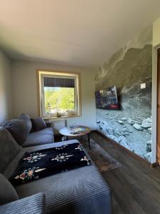 Piękne apartamenty z widokiem na góry ,Sauna, kominek, darmowy parking , 5km do Zakopanego