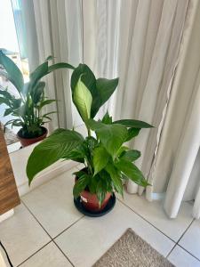 Fusion 911 - Melhor custo benefício Centro de Brasília - By Hóspede Fácil