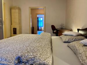 Luxury and historical apartment right in the center 130 m2, terrace and garden