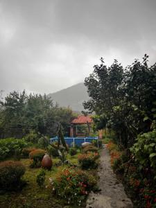 Jibghashvilebis house