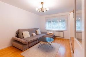 Apartament Confort Obcini