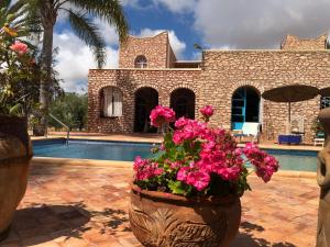 Villa des 1001 Étoiles à Essaouira - grande piscine