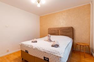 Apartament Confort Obcini