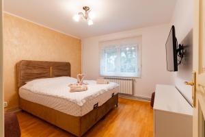 Apartament Confort Obcini