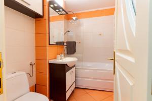Apartament Confort Obcini