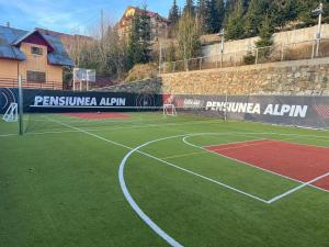 Complex turistic Veverita