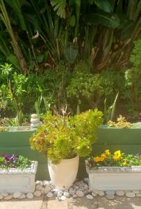 Sunset Haven Glencairn Heights