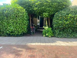 The West Wing Bloemendaal