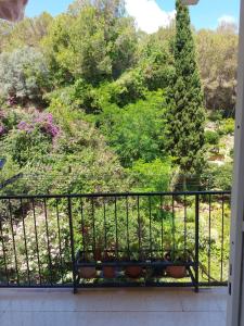 Apartamento Florido 2