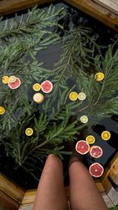 Koshara chalet - harmony in the midst of nature