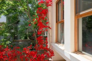 Aθens Dome - Apartments by Live&Travel