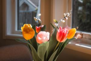 Ahus House Near Beach 100 m Golf 3 km Family Stay