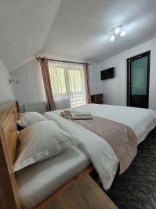 Cabana Valea Muntelui