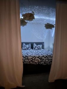 Himmelsnest Apartment im Zentrum von Paderborn