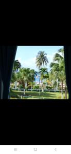 Beachview 1 bedroom 15