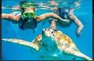 modern loft facing the sea