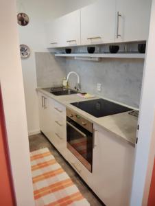 Dachstein Apartments - Bad Mitterndorf