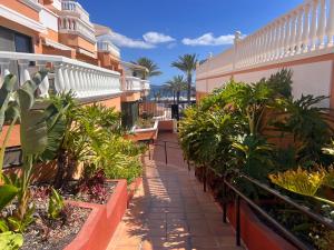 Seafront Royal Garden The View