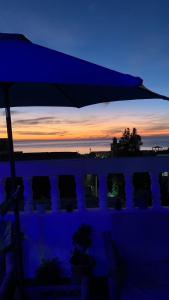 Black Pearl surf yoga and skate house