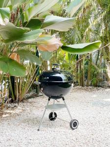 Beach House & Resort Amenities at Ciudad del Mar Jaco