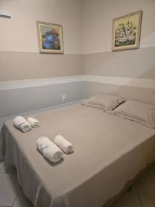Loft próximo Estádios e Faculdades