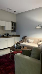 جناح أنيق عصري ملاذ بصالة وغرفة نوم