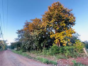 Luxury Home Tamarindo 3BR- 4BA and Private Pool