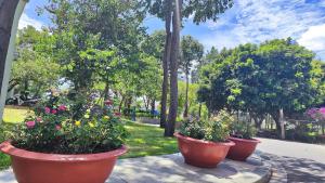 Homestay Song Ngọc