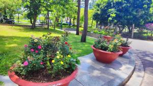 Homestay Song Ngọc