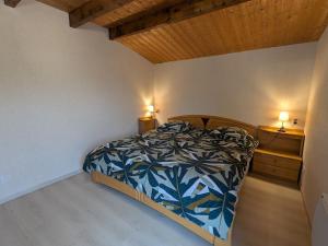 Chalet confortable dans les Vosges - 2 gîtes indépendants - FR-1-589-838