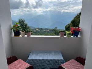 Valley Mist rooms & kitchen