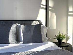 Winter living, Downtown 1BR Apt with kitchen and laundry, Near Convention Center and PPAC