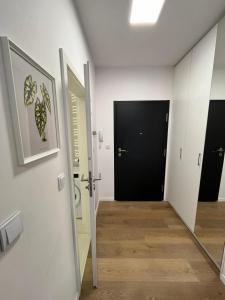 Ordona Charming Studio II