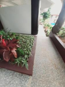 Avana Hills Boracay Prime Super Value Suite 102