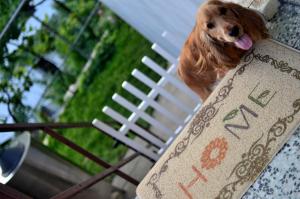 Guest House Konjic - 3hvězdičkové hotely ve městě Konjic