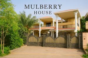 Mulberry Guest House F-11