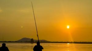 Majestic empire group of houseboat