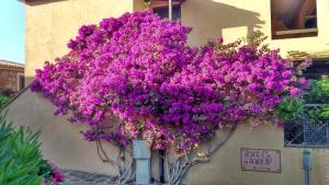 Danys Home in Baia de Bahas