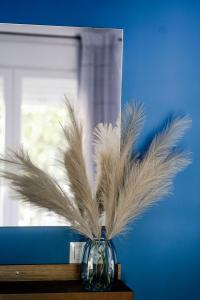 Coloris Caeruleus room